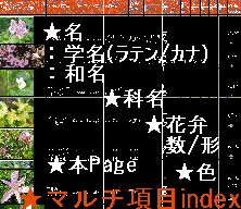 ԁEÃ}`Index
